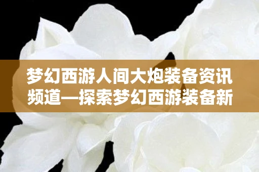 梦幻西游人间大炮装备资讯频道—探索梦幻西游装备新纪元