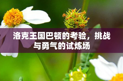 洛克王国巴顿的考验，挑战与勇气的试炼场