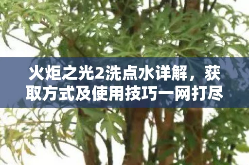 火炬之光2洗点水详解，获取方式及使用技巧一网打尽