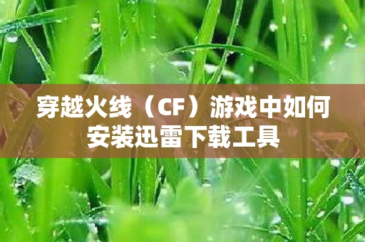 穿越火线（CF）游戏中如何安装迅雷下载工具