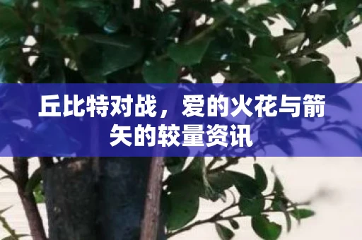 丘比特对战，爱的火花与箭矢的较量资讯