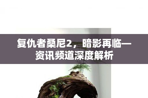 复仇者桑尼2，暗影再临—资讯频道深度解析