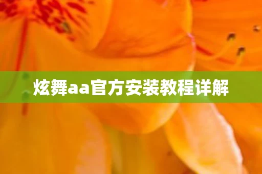 炫舞aa官方安装教程详解图片