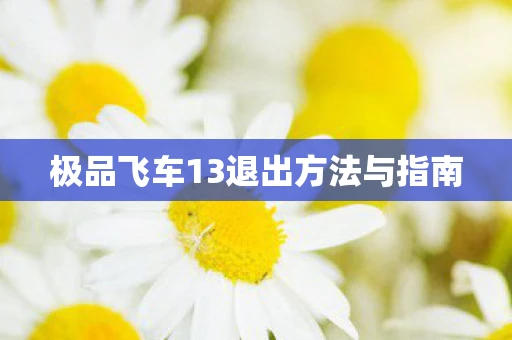 极品飞车13退出方法与指南