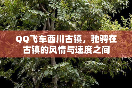 QQ飞车西川古镇，驰骋在古镇的风情与速度之间
