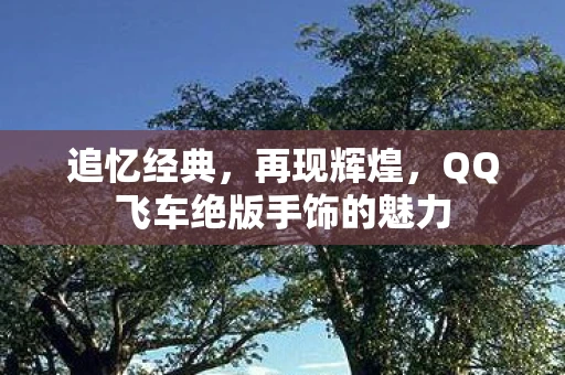 追忆经典，再现辉煌，QQ飞车绝版手饰的魅力