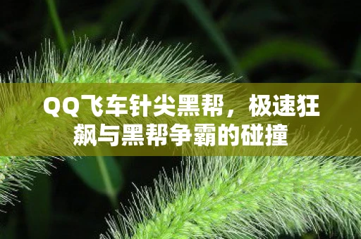 QQ飞车针尖黑帮，极速狂飙与黑帮争霸的碰撞