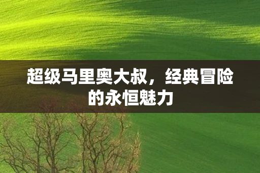 超级马里奥大叔，经典冒险的永恒魅力