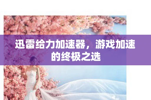 迅雷给力加速器，游戏加速的终极之选