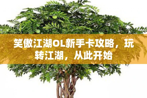 笑傲江湖OL新手卡攻略，玩转江湖，从此开始