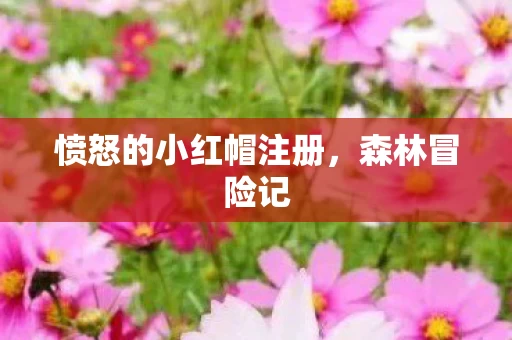 愤怒的小红帽注册图片