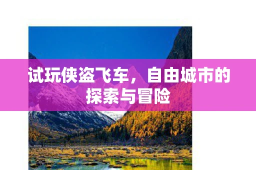 试玩侠盗飞车，自由城市的探索与冒险
