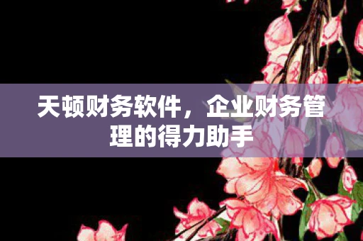 天顿财务软件，企业财务管理的得力助手