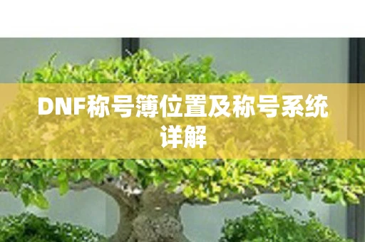 DNF称号簿位置及称号系统详解