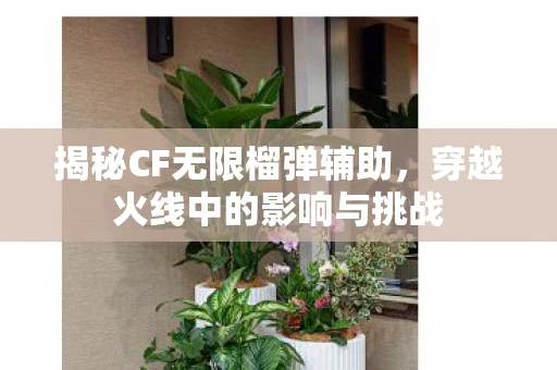 揭秘CF无限榴弹辅助，穿越火线中的影响与挑战