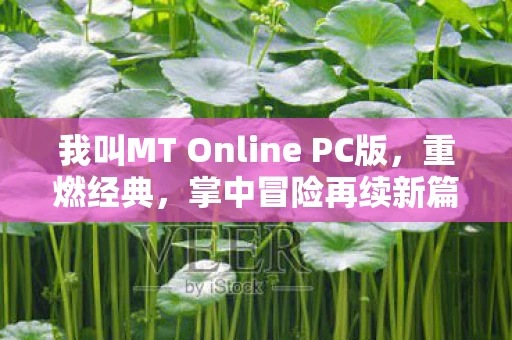 我叫MT Online PC版，重燃经典，掌中冒险再续新篇