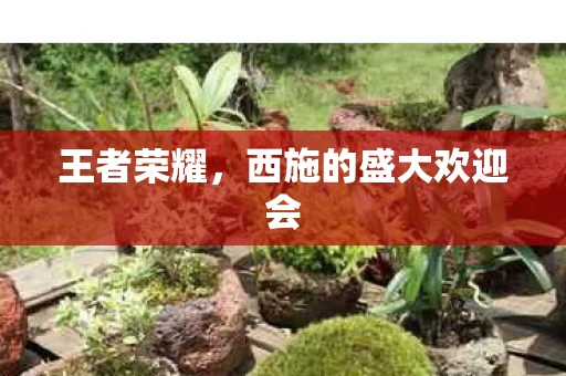 西施的盛大欢迎会图片