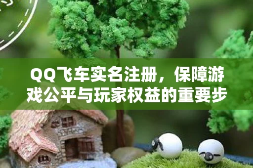 保障游戏公平与玩家权益的重要步骤图片