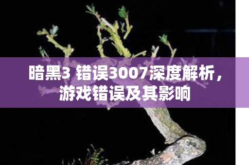 暗黑3 错误3007深度解析，游戏错误及其影响