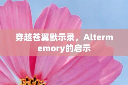 穿越苍翼默示录，Altermemory的启示