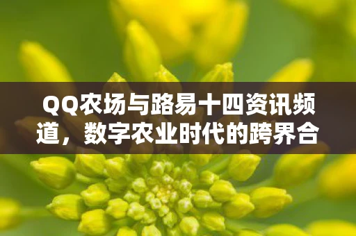 QQ农场与路易十四资讯频道，数字农业时代的跨界合作与创新探索