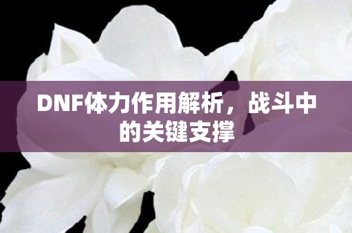 DNF体力作用解析，战斗中的关键支撑