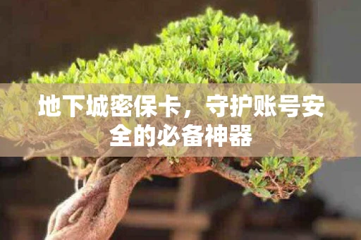 地下城密保卡，守护账号安全的必备神器