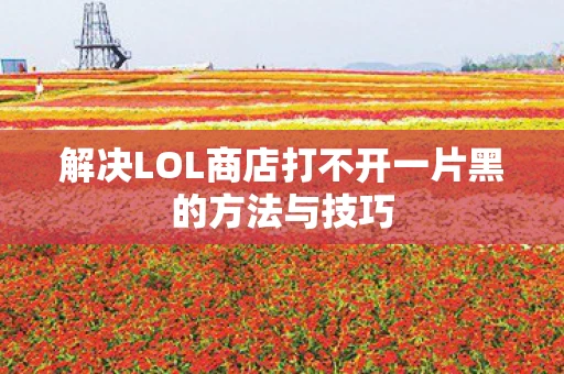 解决LOL商店打不开一片黑的方法与技巧