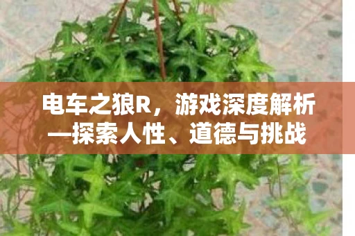 游戏深度解析图片