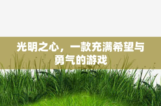 光明之心，一款充满希望与勇气的游戏