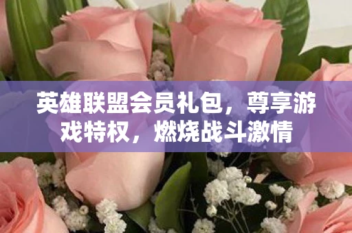 英雄联盟会员礼包，尊享游戏特权，燃烧战斗激情
