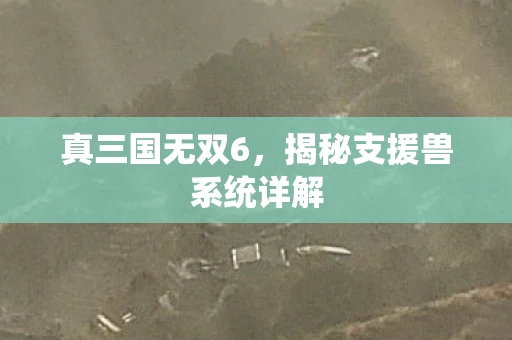 真三国无双6，揭秘支援兽系统详解