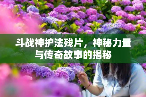 斗战神护法残片，神秘力量与传奇故事的揭秘