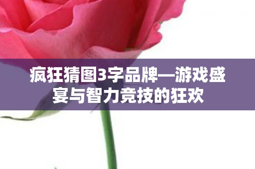疯狂猜图3字品牌—游戏盛宴与智力竞技的狂欢