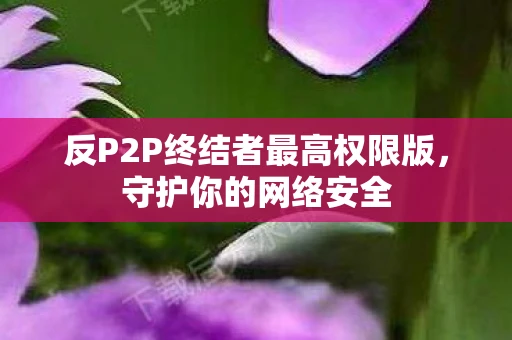 反P2P终结者最高权限版，守护你的网络安全