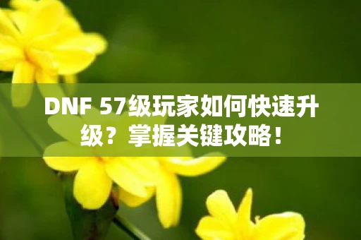 DNF 57级玩家如何快速升级？掌握关键攻略！