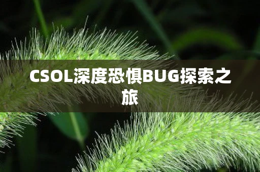 CSOL深度恐惧BUG探索之旅