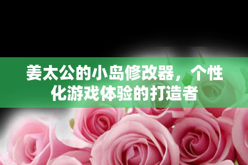 姜太公的小岛修改器，个性化游戏体验的打造者
