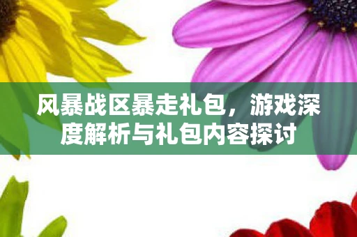 风暴战区暴走礼包，游戏深度解析与礼包内容探讨