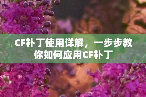 CF补丁使用详解，一步步教你如何应用CF补丁