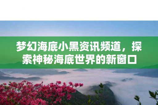 梦幻海底小黑资讯频道，探索神秘海底世界的新窗口
