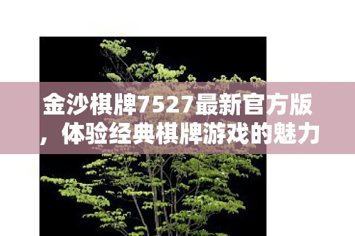 金沙棋牌7527最新官方版，体验经典棋牌游戏的魅力与升级特色