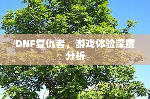 DNF复仇者，游戏体验深度分析