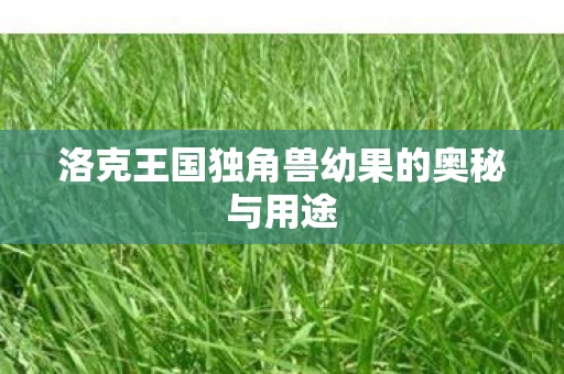 洛克王国独角兽幼果的奥秘与用途