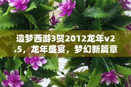造梦西游3贺2012龙年v2.5，龙年盛宴，梦幻新篇章