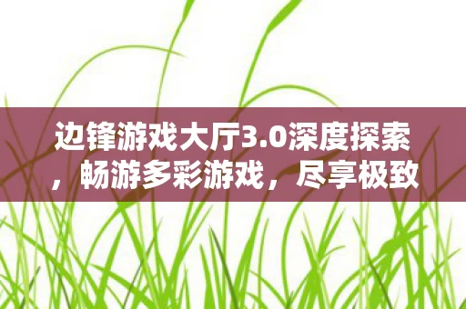 边锋游戏大厅3图片