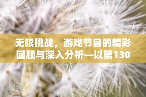 无限挑战，游戏节目的精彩回顾与深入分析—以第130406期为中心