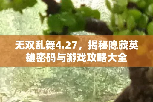无双乱舞4.27，揭秘隐藏英雄密码与游戏攻略大全
