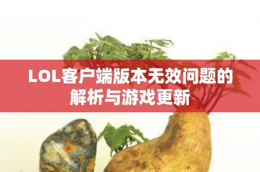 LOL客户端版本无效问题的解析与游戏更新图片