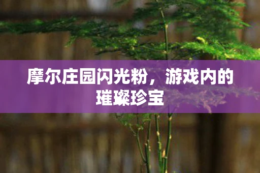 摩尔庄园闪光粉，游戏内的璀璨珍宝